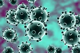 CORONA VIRUS : SYMPTOMS AND PRECAUTIONS