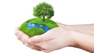 WORLD ENVIRONMENT DAY 2020