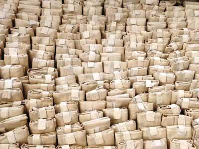 Mitra Bag - Raghukul Aryawart